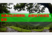 海角论坛真相揭秘：虚假帖子的背后故事