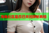 海角社区是否已关闭探秘真相
