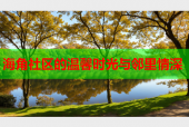 海角社区的温馨时光与邻里情深
