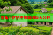 海角社区钻石破解秘籍大公开