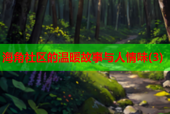 海角社区的温暖故事与人情味(3)