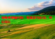 海角视频福利网：畅享多元影视，尽在指尖