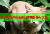 海角论坛焕新启航 共享智慧与交流