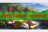 海角新域名全景探索，畅享无限可能