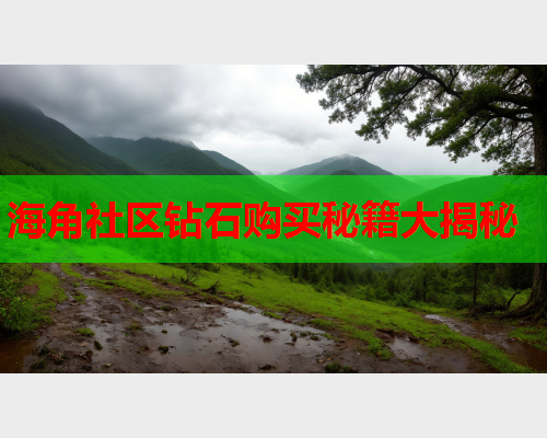 海角社区钻石购买秘籍大揭秘  第1张